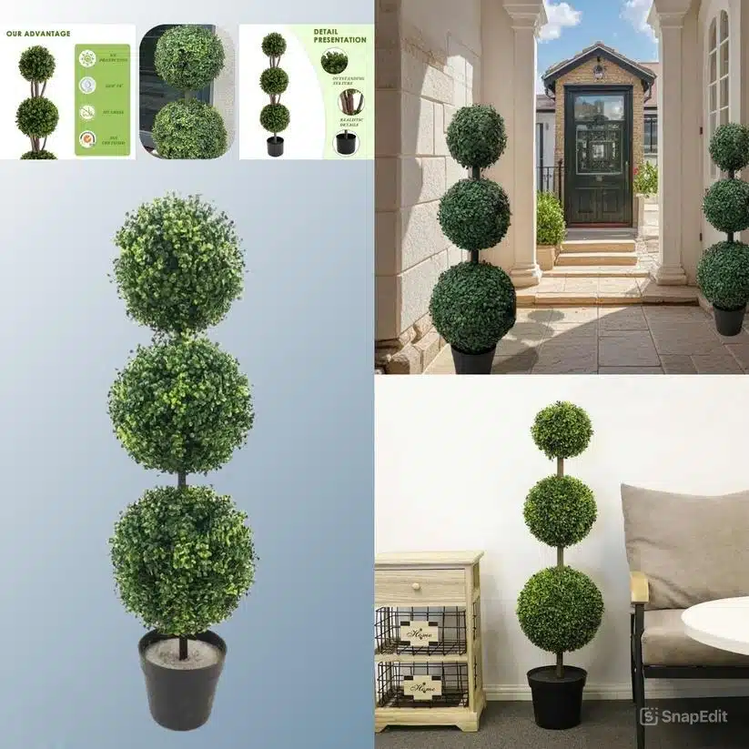 snapedit_1775206312966